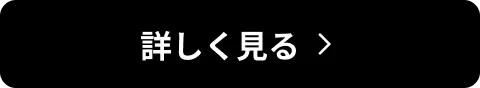 詳しく見る