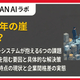 2025年の崖とは?