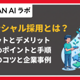 ポテンシャル採用 とは